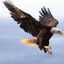 热那亚vs乌迪内斯：马利诺夫斯基、洛伦佐